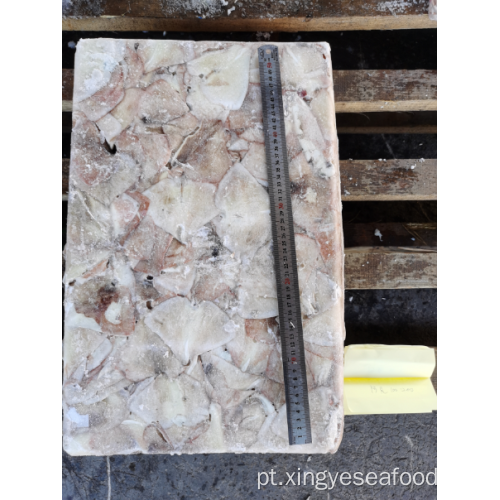 Frezen Squid Slowover Wing Illex Argentinus 0-100G